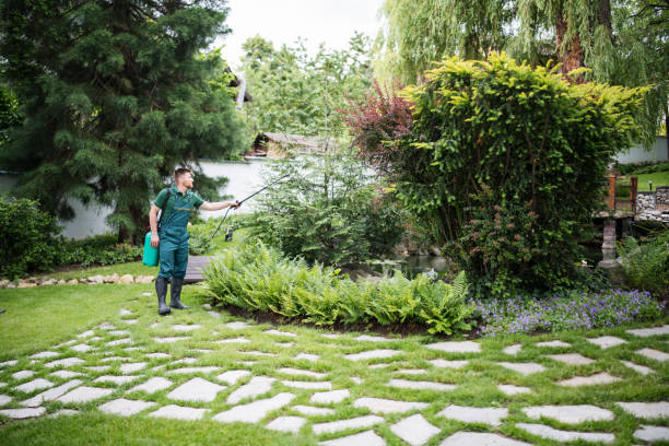 Best Residential Pest Control  in Morse, LA
