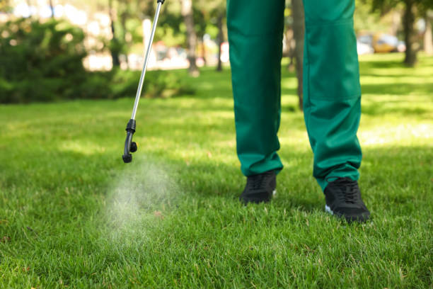 Best Pest Control for Homes  in Morse, LA