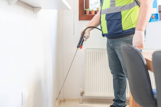 Best Pest Control for Businesses  in Morse, LA