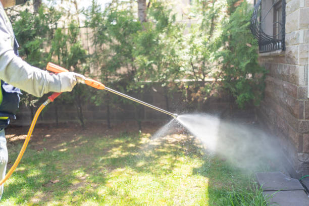 Best Spider Control Near Me  in Morse, LA